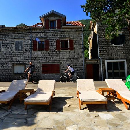 A Hundred Olive Trees Apartments Kotor Dış mekan fotoğraf