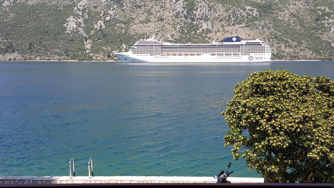 A Hundred Olive Trees Apartments Kotor Dış mekan fotoğraf