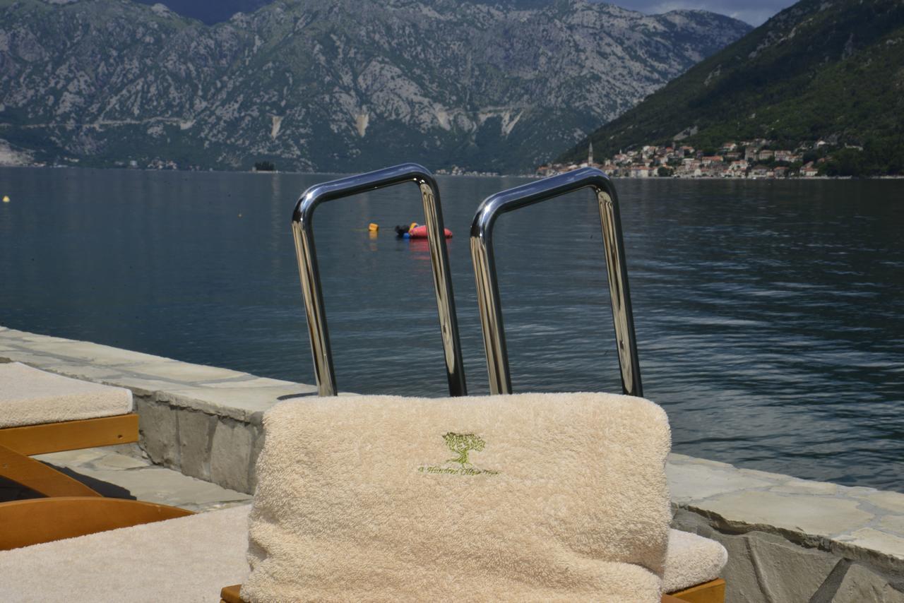 A Hundred Olive Trees Apartments Kotor Dış mekan fotoğraf