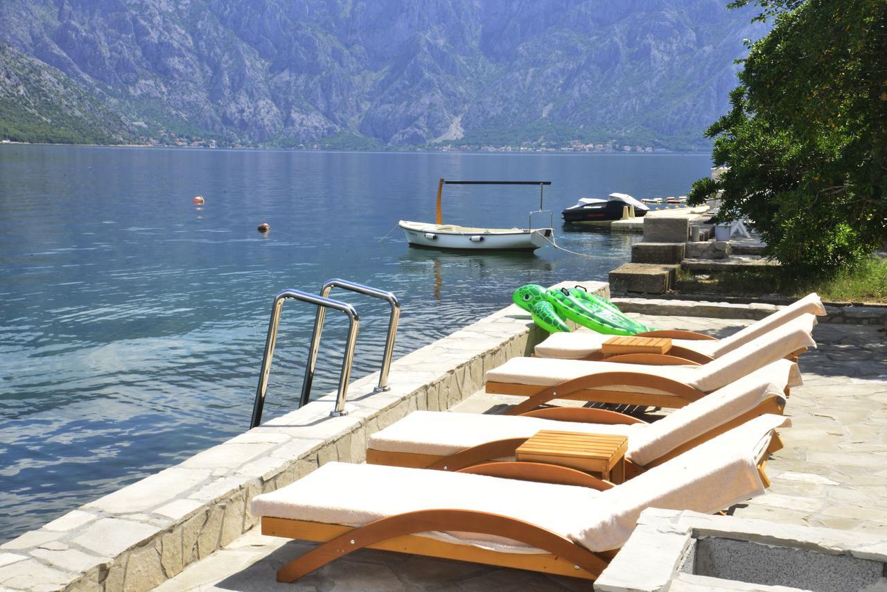 A Hundred Olive Trees Apartments Kotor Dış mekan fotoğraf