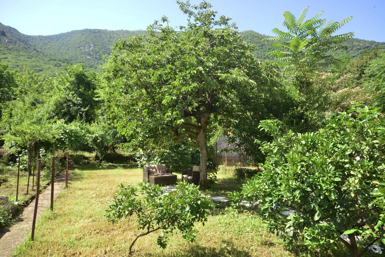 A Hundred Olive Trees Apartments Kotor Dış mekan fotoğraf