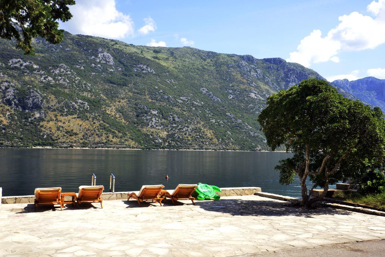 A Hundred Olive Trees Apartments Kotor Dış mekan fotoğraf