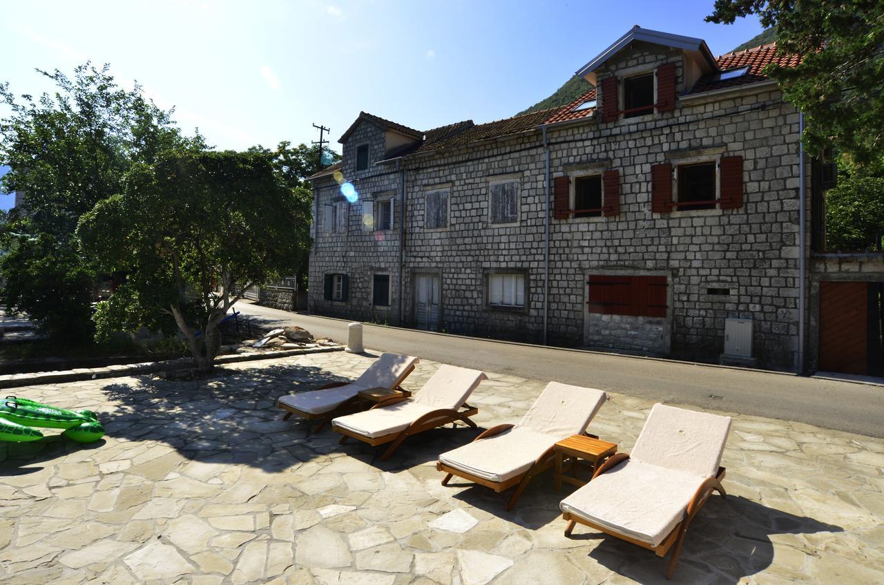 A Hundred Olive Trees Apartments Kotor Dış mekan fotoğraf