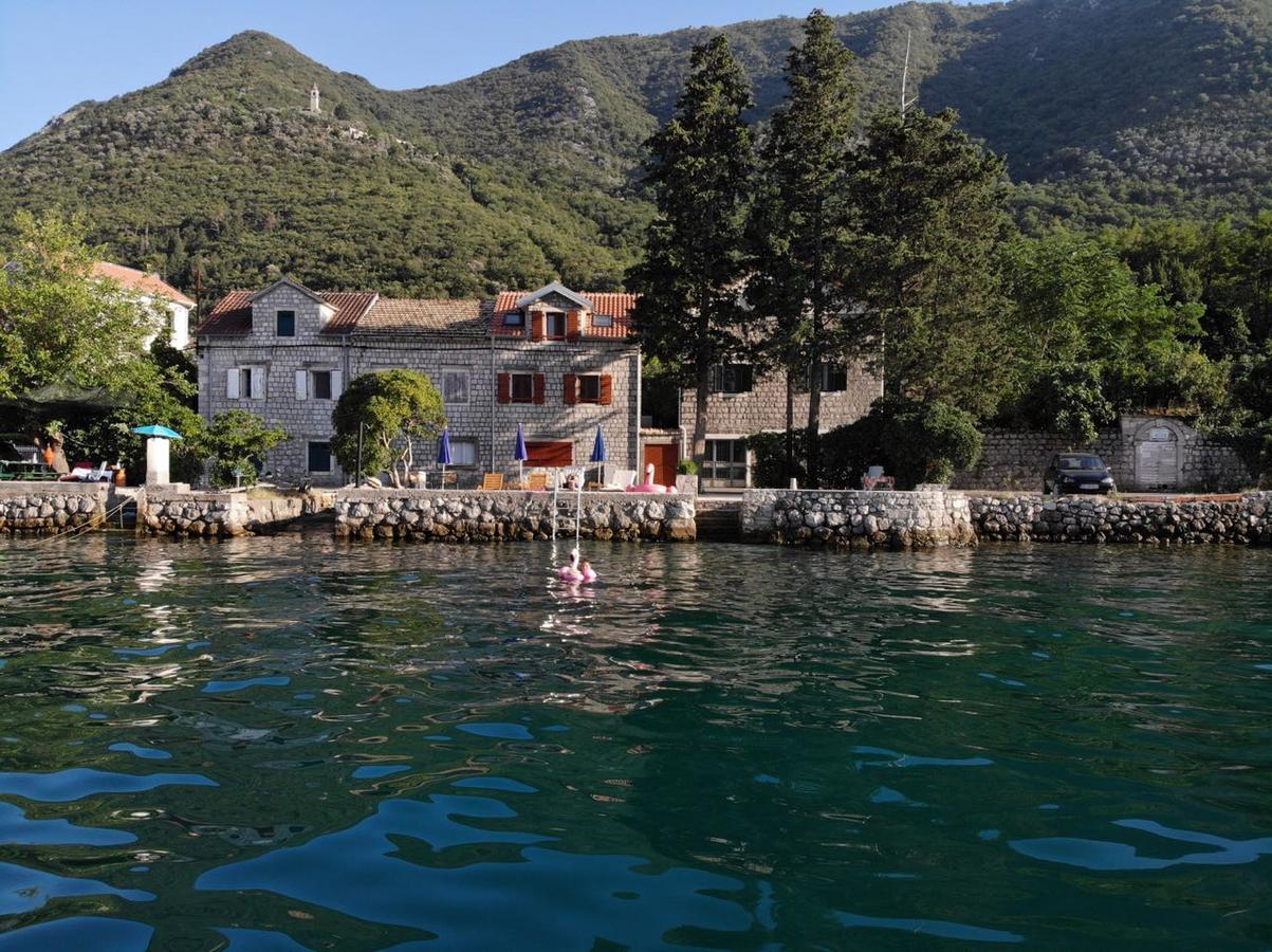 A Hundred Olive Trees Apartments Kotor Dış mekan fotoğraf