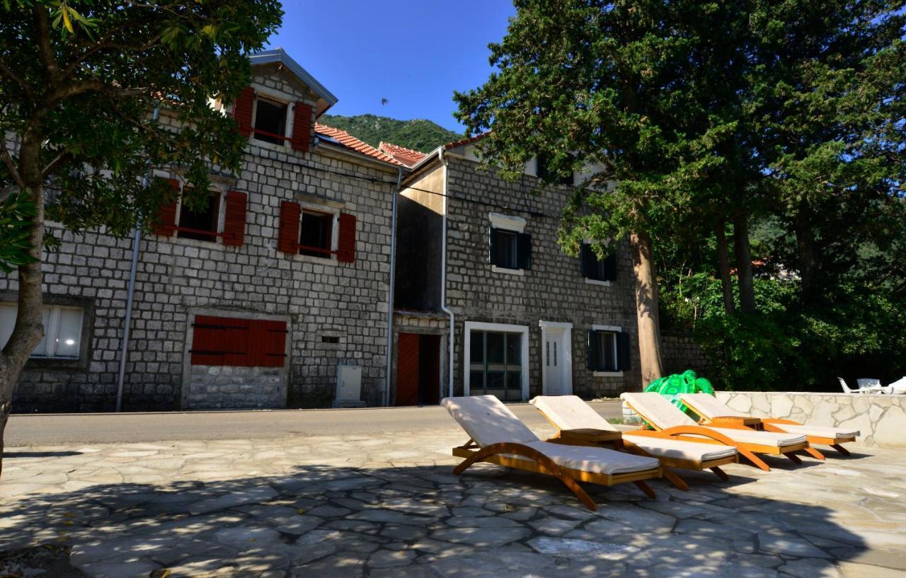 A Hundred Olive Trees Apartments Kotor Dış mekan fotoğraf