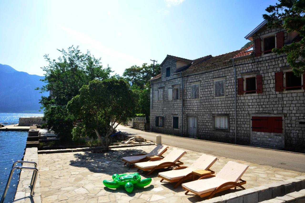 A Hundred Olive Trees Apartments Kotor Dış mekan fotoğraf