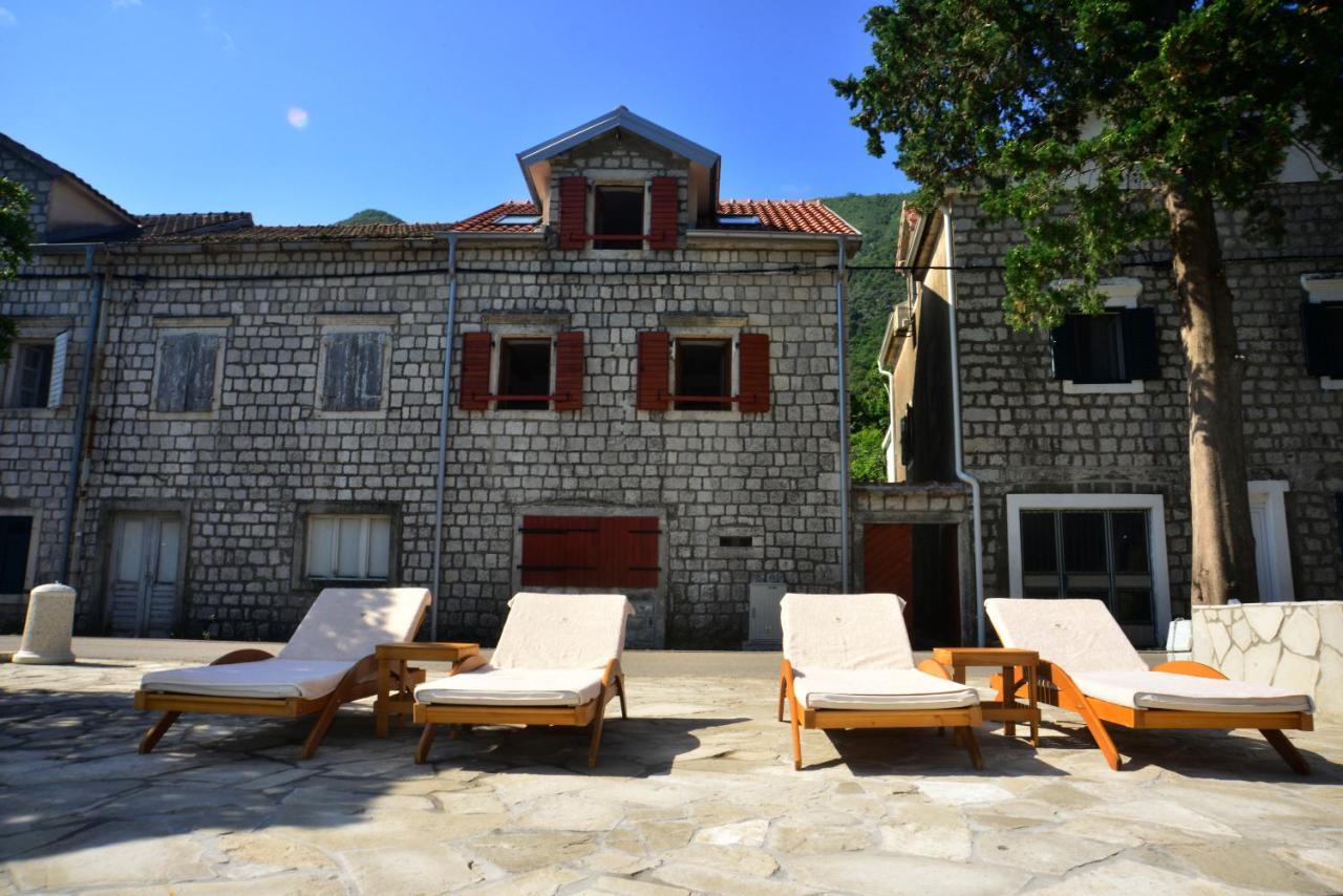 A Hundred Olive Trees Apartments Kotor Dış mekan fotoğraf