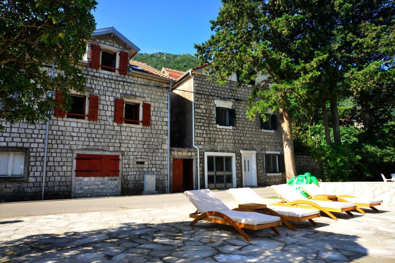 A Hundred Olive Trees Apartments Kotor Dış mekan fotoğraf
